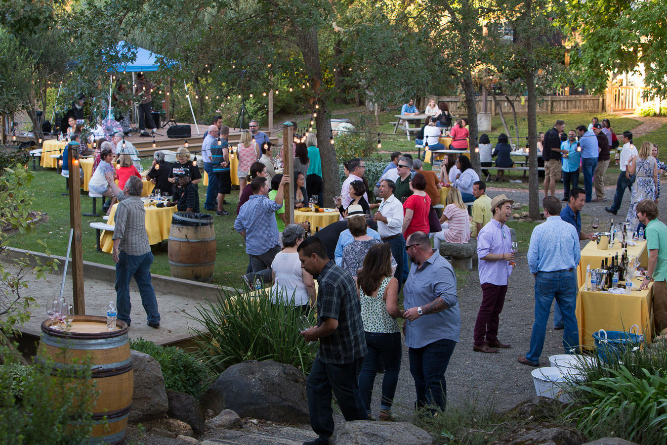 Silenus Winery Harvest Party